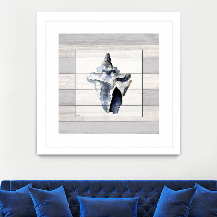 \"Muted Blue Sea Conch On Wood\" Matted and Framed White 36x36 Wall Art