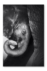 Baby Elephant Seeking Comfort 28x42 Wall Art Frame And Fabric Panel