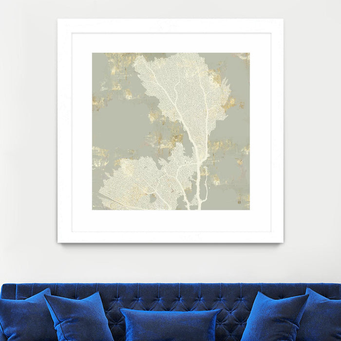 \"Sea Coral Ii\" Matted and Framed White 36x36 Wall Art