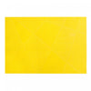 Vinyl Placemat Electrify Yellow - Set of 12