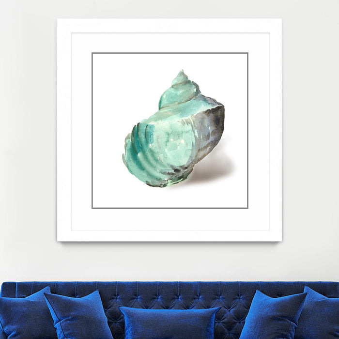 \"Shell In Mint\" Matted and Framed White 30x30 Wall Art