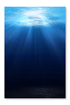Underwater Scene Background 28x42 Wall Art Fabric Panel Without Frame