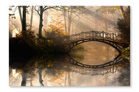 Autumn Park 16x24 Wall Art Frame And Fabric Panel