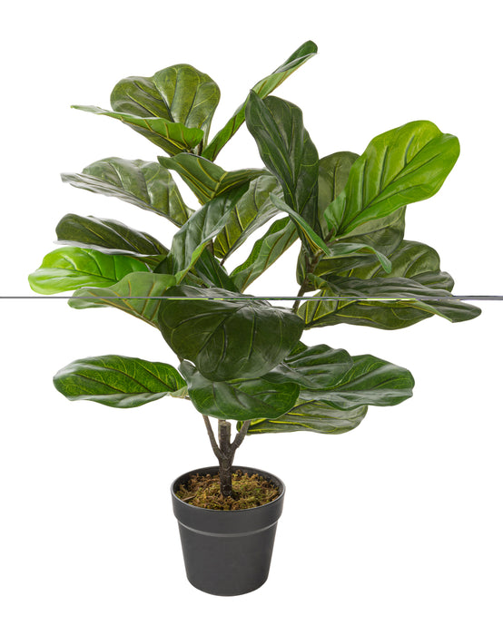 Artificial 27\" Fiddle Leaf In Black Pot