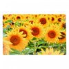 Plastic Placemat Sunflower Field-Set of 12