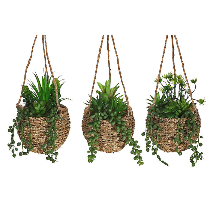 Artificial Succulents in Hanging Rope Pot - Set of 3 Artificial Flower