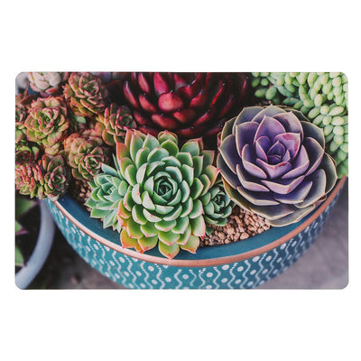 Plastic Placemat Potted Succulents - Set of 12|Napperon en plastique avec une image de plantes grasses en pots - ensemble de 12