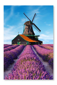 Lavender Fields with Windmill 28x42 Wall Art Fabric Panel Without Frame