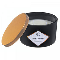 14oz 3 Wick Matte Black Scented Candle Mango Medley