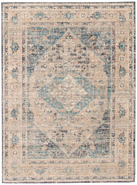 Bolivar Bijar Grey Area Rug - 5'3