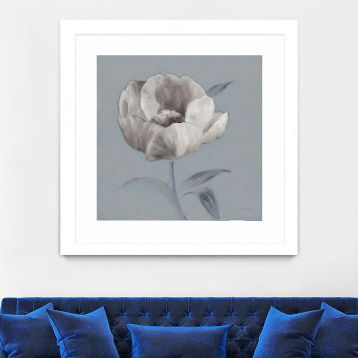 \"Floral Symposium I\" Matted and Framed White 36x36 Wall Art