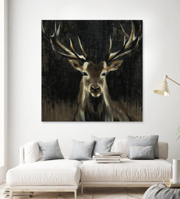 \"Young Buck\" Giant Art 54x54 Wall Art
