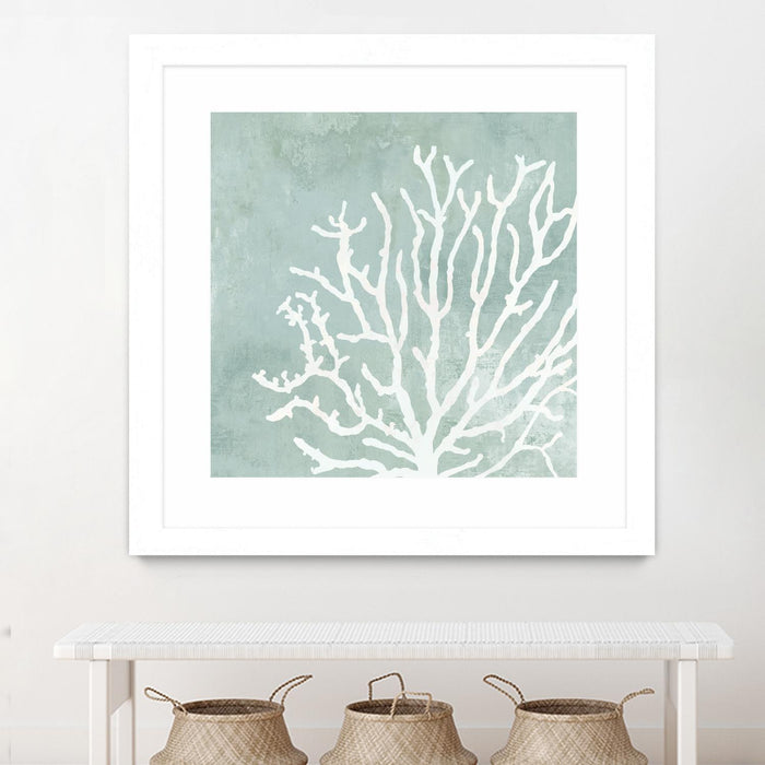 \"Sea Crown Ii\" Matted and Framed White 36x36 Wall Art
