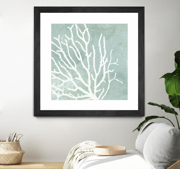 \"Sea Crown I\" Matted and Framed Black 30x30 Wall Art