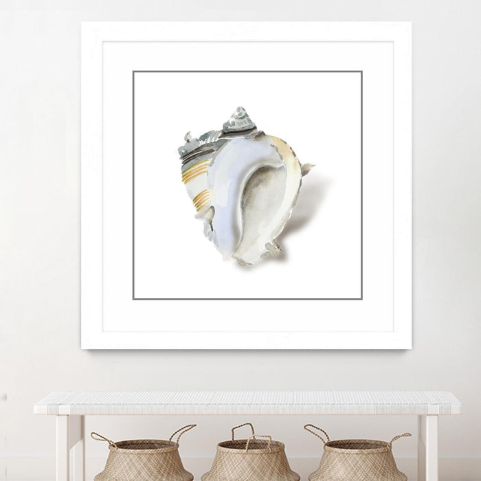 \"Seafoam Shell\" Matted and Framed White 36x36 Wall Art