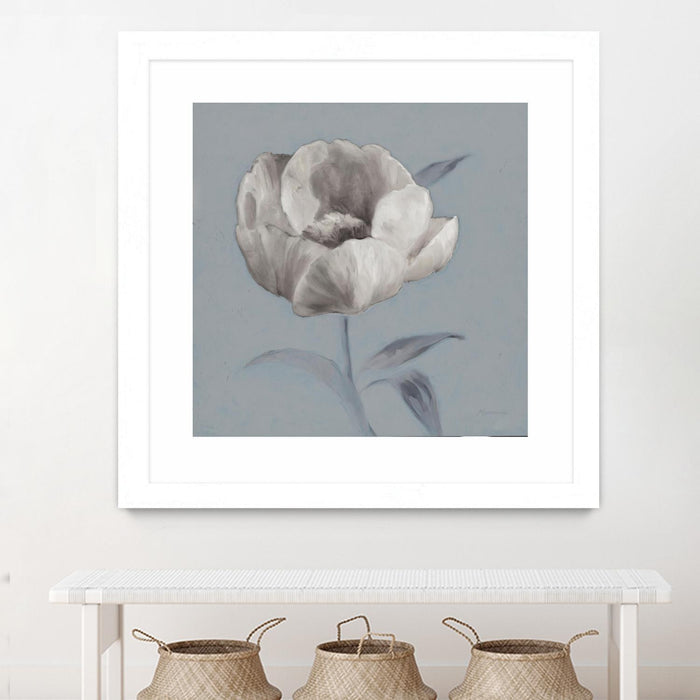 \"Floral Symposium I\" Matted and Framed White 36x36 Wall Art