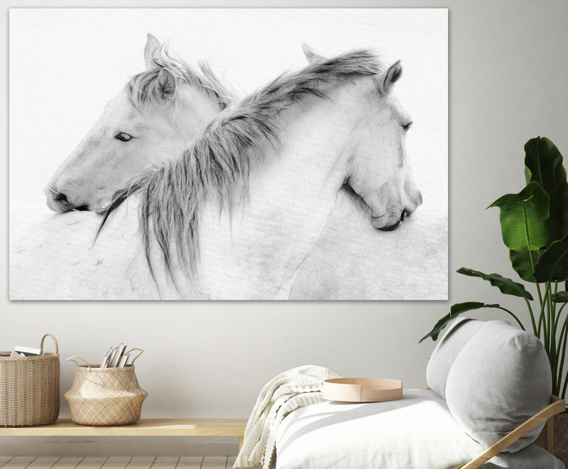 \"Stas - Horses\" Giant Art 72x48 Wall Art