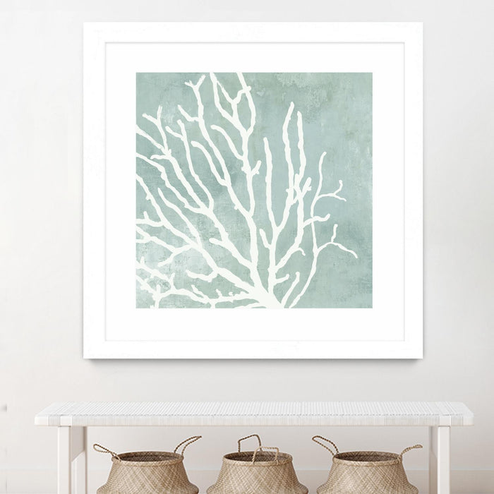\"Sea Crown I\" Matted and Framed White 36x36 Wall Art