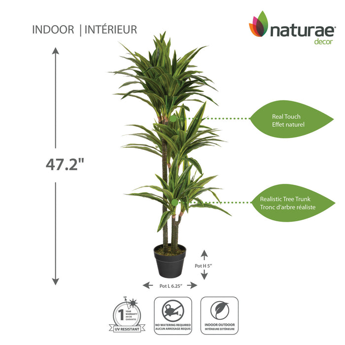 Artificial 47\" Dracaena In Black Pot