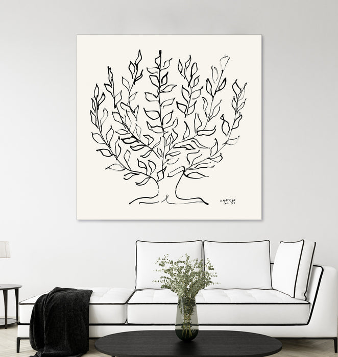 \"L'arbre Platane\" Giant Art 54x54 Wall Art