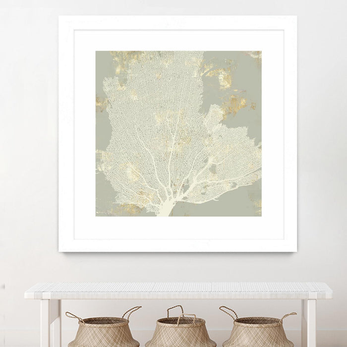 \"Sea Coral I\" Matted and Framed White 36x36 Wall Art