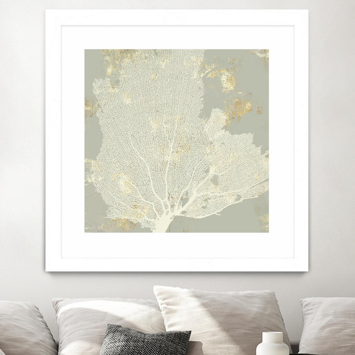 \"Sea Coral I\" Matted and Framed White 36x36 Wall Art