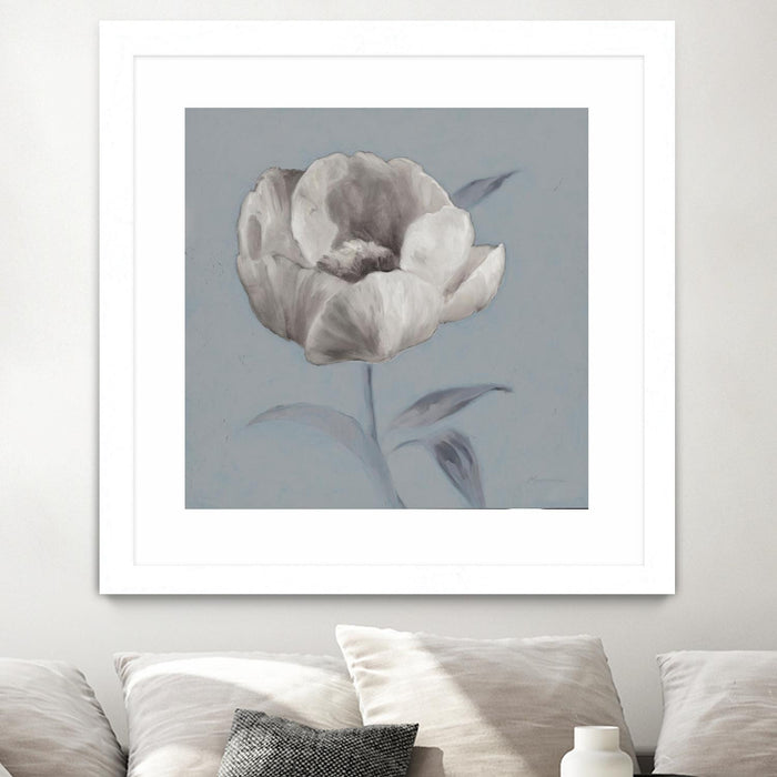 \"Floral Symposium I\" Matted and Framed White 36x36 Wall Art