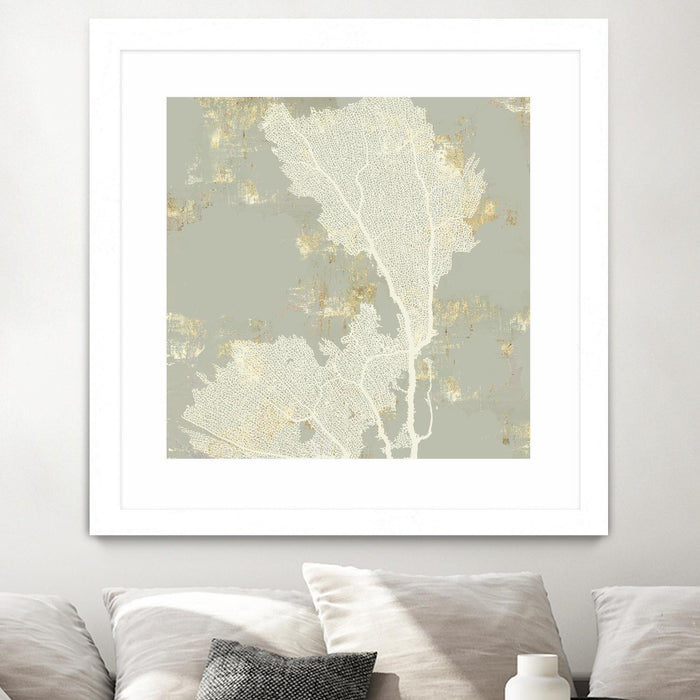 \"Sea Coral Ii\" Matted and Framed White 30x30 Wall Art