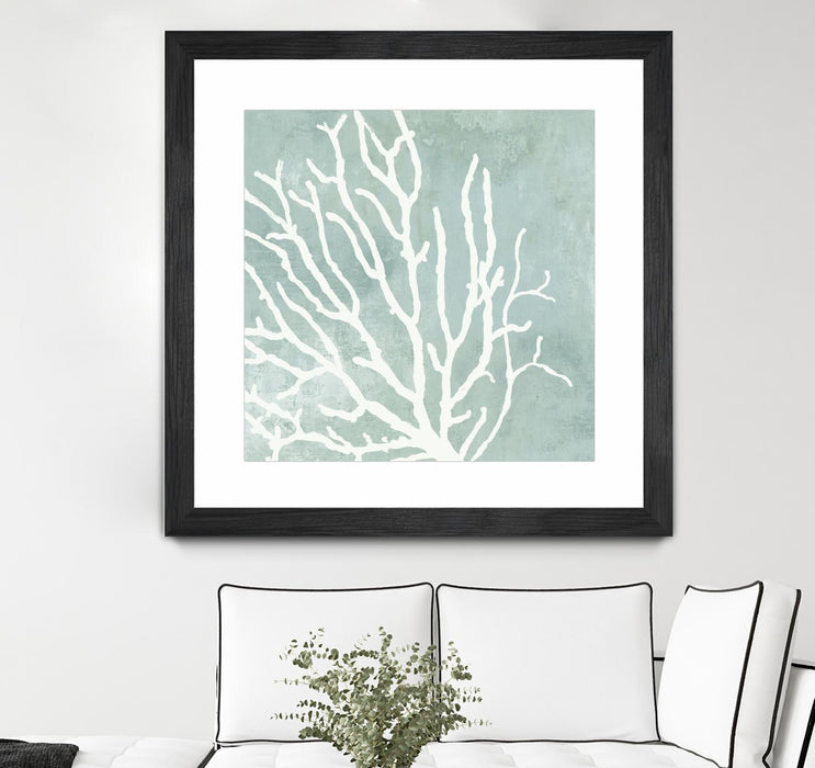 \"Sea Crown I\" Matted and Framed Black 30x30 Wall Art