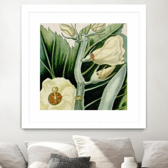 \"Cropped Turpin Tropicals Iii\" Matted and Framed White 30x30 Wall Art