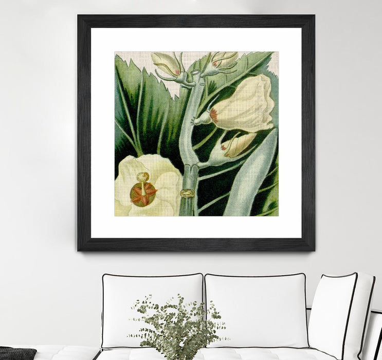 \"Cropped Turpin Tropicals Iii\" Matted and Framed Black 30x30 Wall Art