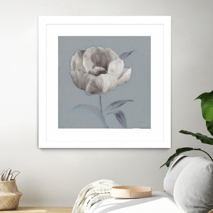 \"Floral Symposium I\" Matted and Framed White 36x36 Wall Art