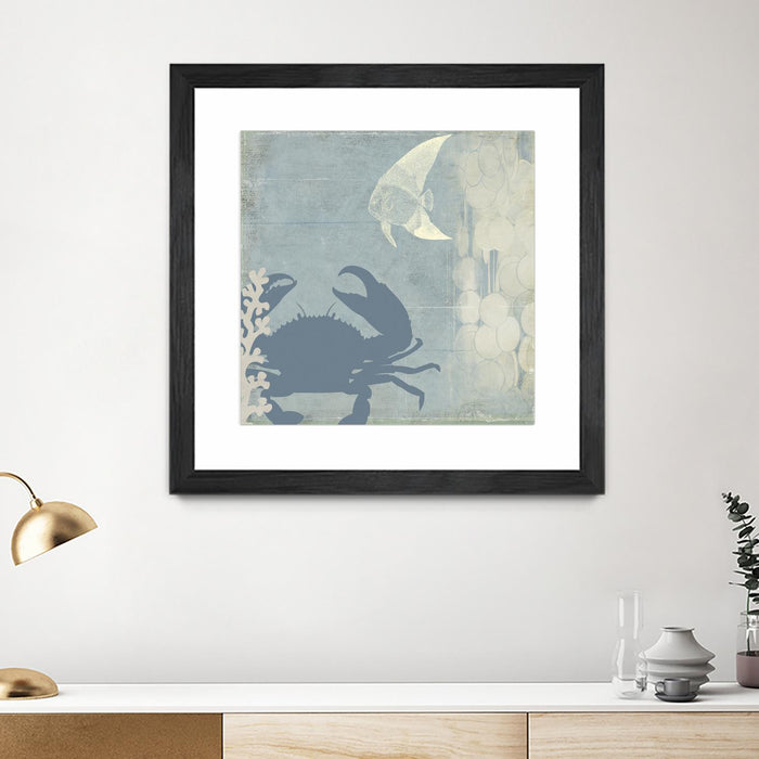 \"Ocean Life Ii\" Matted and Framed Black 36x36 Wall Art