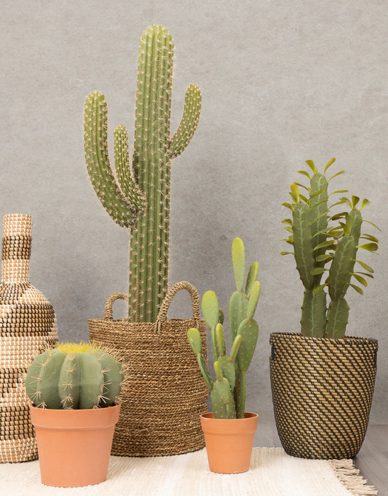 Artificial 25\" Candelabra Cactus In Terracotta Pot