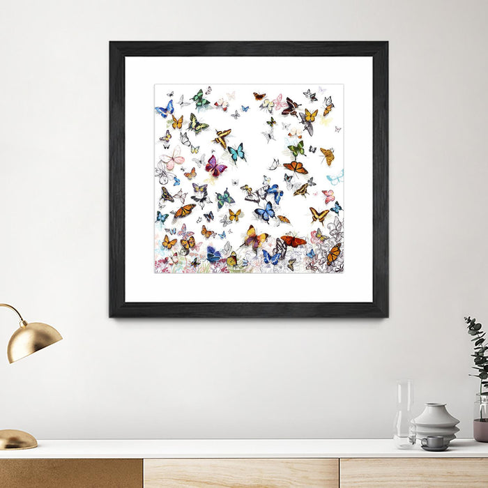 \"Papillon\" Matted and Framed Black 36x36 Wall Art