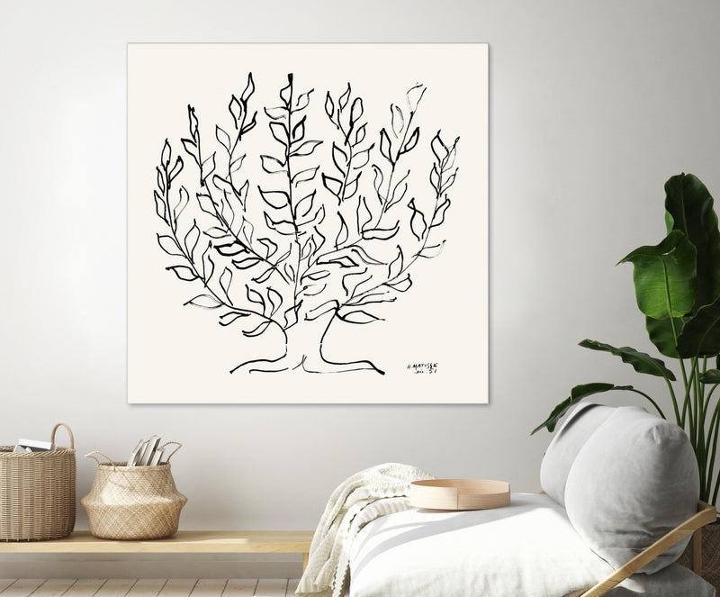\"L'arbre Platane\" Giant Art 54x54 Wall Art