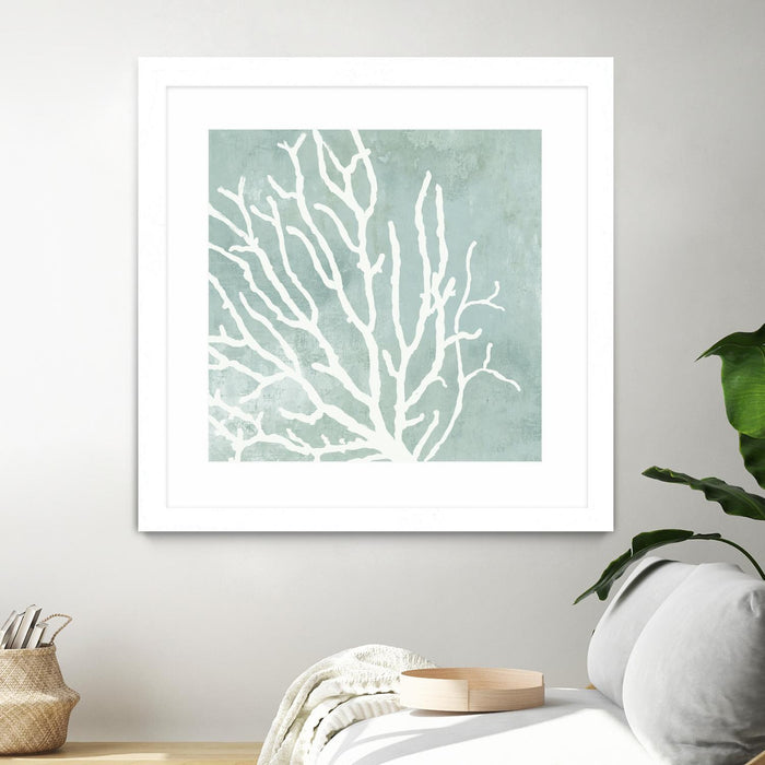 \"Sea Crown I\" Matted and Framed White 36x36 Wall Art