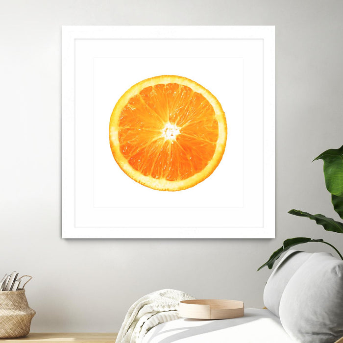 \"Citrus Cultivar\" Matted and Framed White 30x30 Wall Art