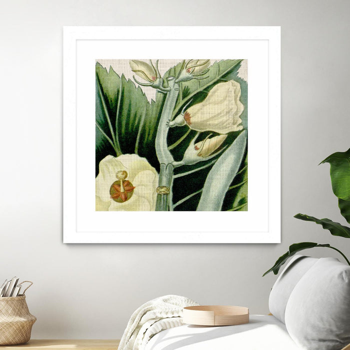 \"Cropped Turpin Tropicals Iii\" Matted and Framed White 30x30 Wall Art