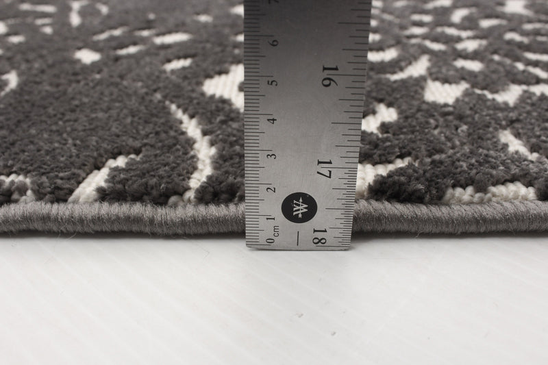 Caledonia Grey 3'11\" x 5'7\" Area Rug