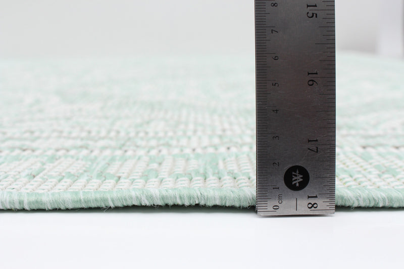 Neisha Traditional Mint Rug 5'3\" X 7'3\" Area Rug