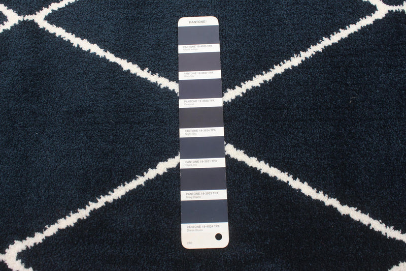 August Navy-White 6'7\" x 9'6\" Area Rug