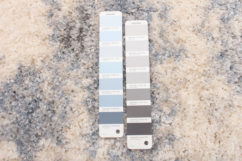 Astra Cream/Light Blue Area Rug -3'11\" X 5'7\"