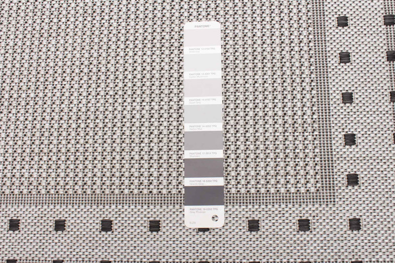 Clementine Grey Area Rug - 2'2\" X 3'11\" 