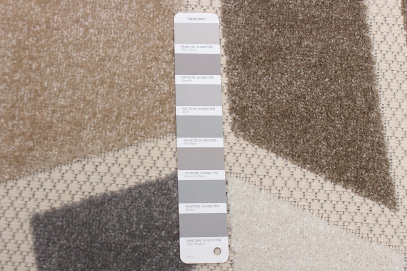 Celestina Ivory Area Rug - 6'7\" X 9'6\" 