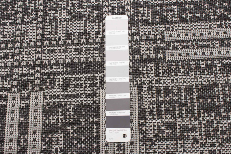Joni Black Area Rug - 3'3\" X 4'7\" 