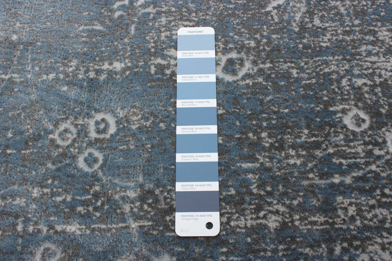 Dayna Blue, Grey Rug 5'3\" X 7'3\" Area Rug