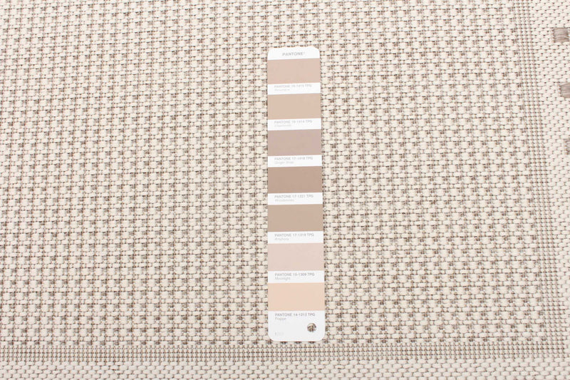 Clementine Ivory Area Rug - 2'2\" X 3'11\" 