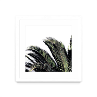 "Cape Storm" Matted and Framed White 36x36 Wall Art