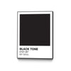\"Black Tone \" Canvas Framed Black 24x32 Wall Art